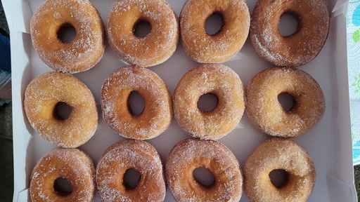 Mini Donuts (Dozena)